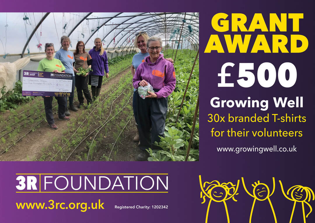 3R Foundation Grant Award
