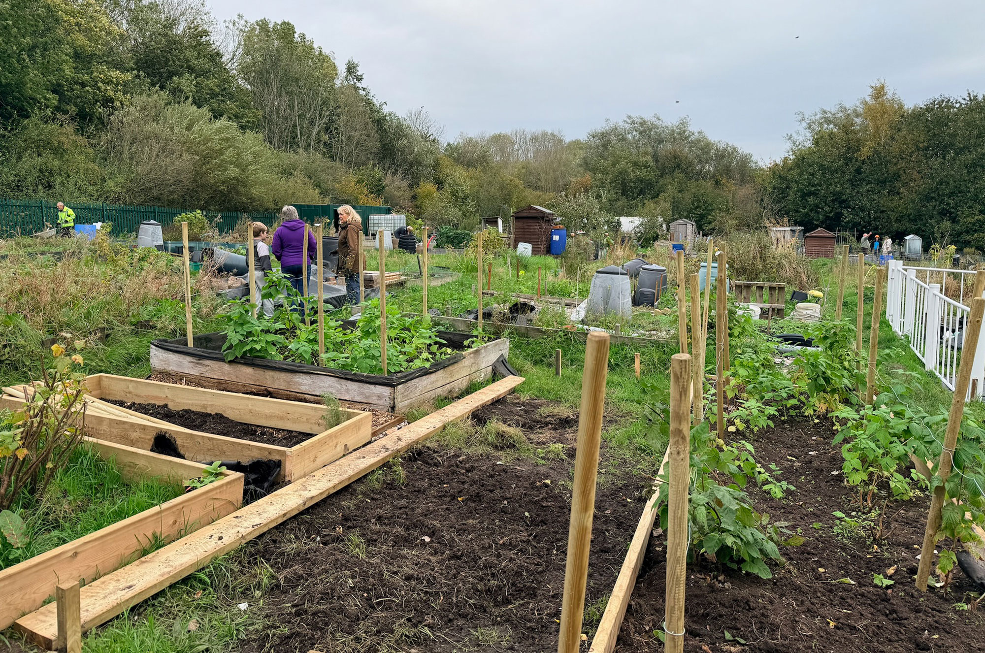 Ambleside Road Allotment Association