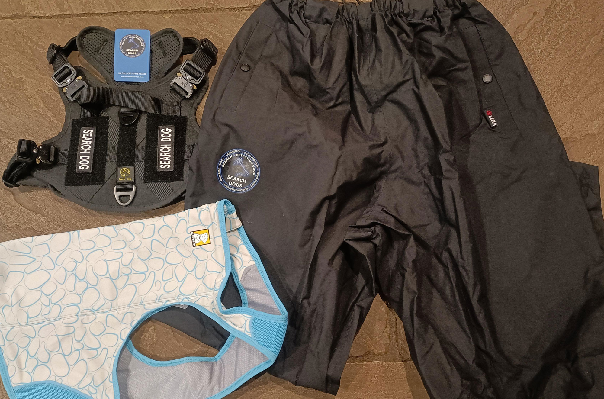 Search and Detection Dogs